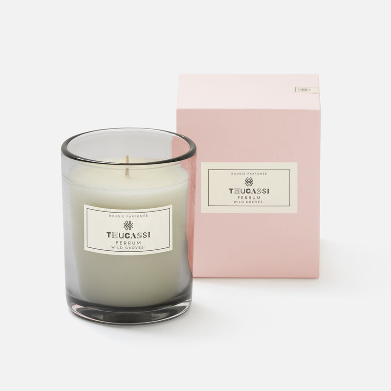 media image for ferrum candle in various scents 1 271