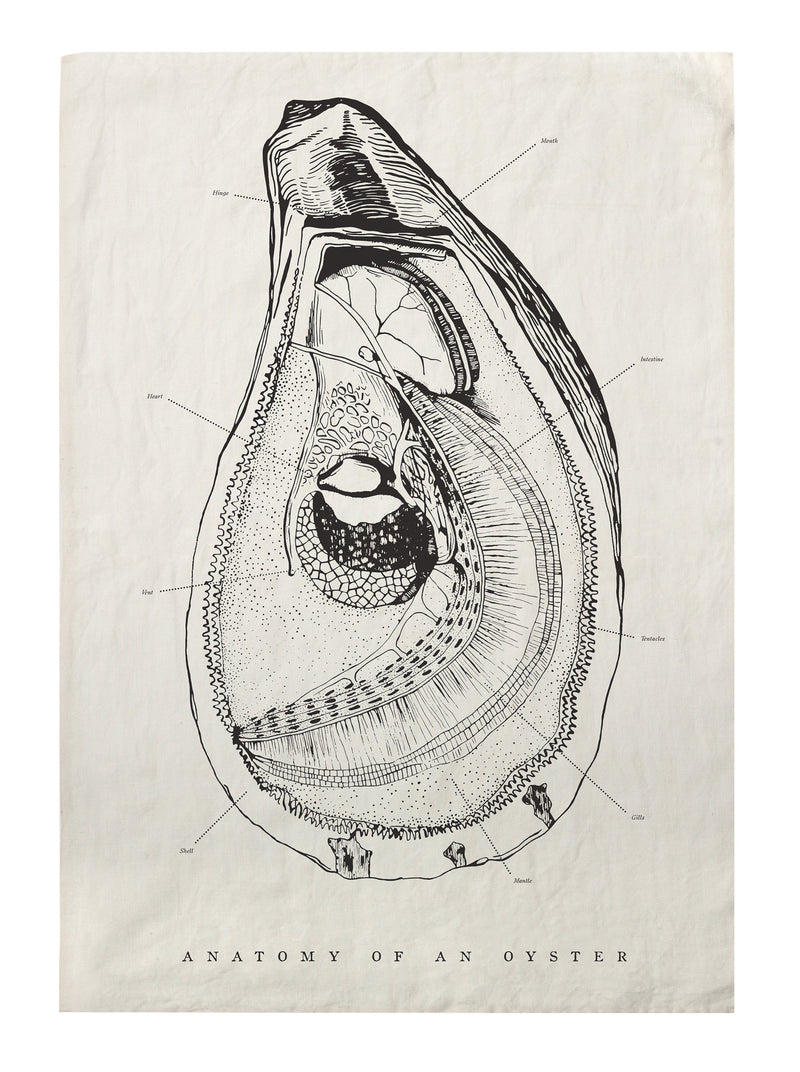 media image for Oyster Anatomy Tea Towel design by Sir/Madam 220