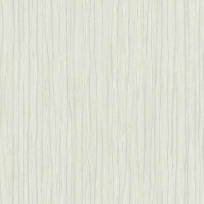 product image for Temperate Veil Wallpaper in Light Grey by Antonina Vella for York Wallcoverings 62