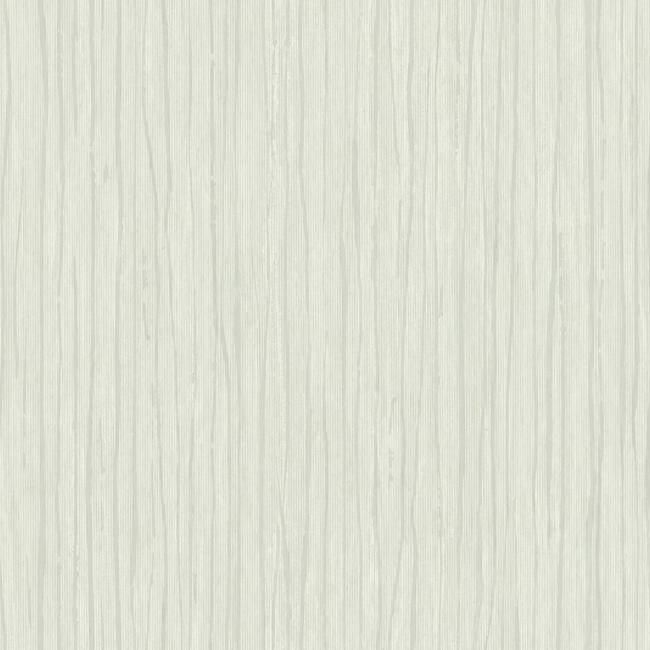 media image for Temperate Veil Wallpaper in Light Grey by Antonina Vella for York Wallcoverings 280