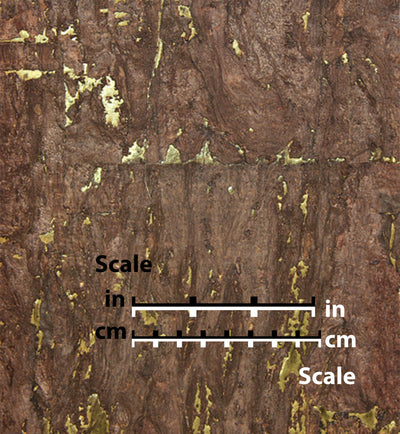 product image of Textured Coffee and Gold Natural Wallpaper by Burke Decor 551