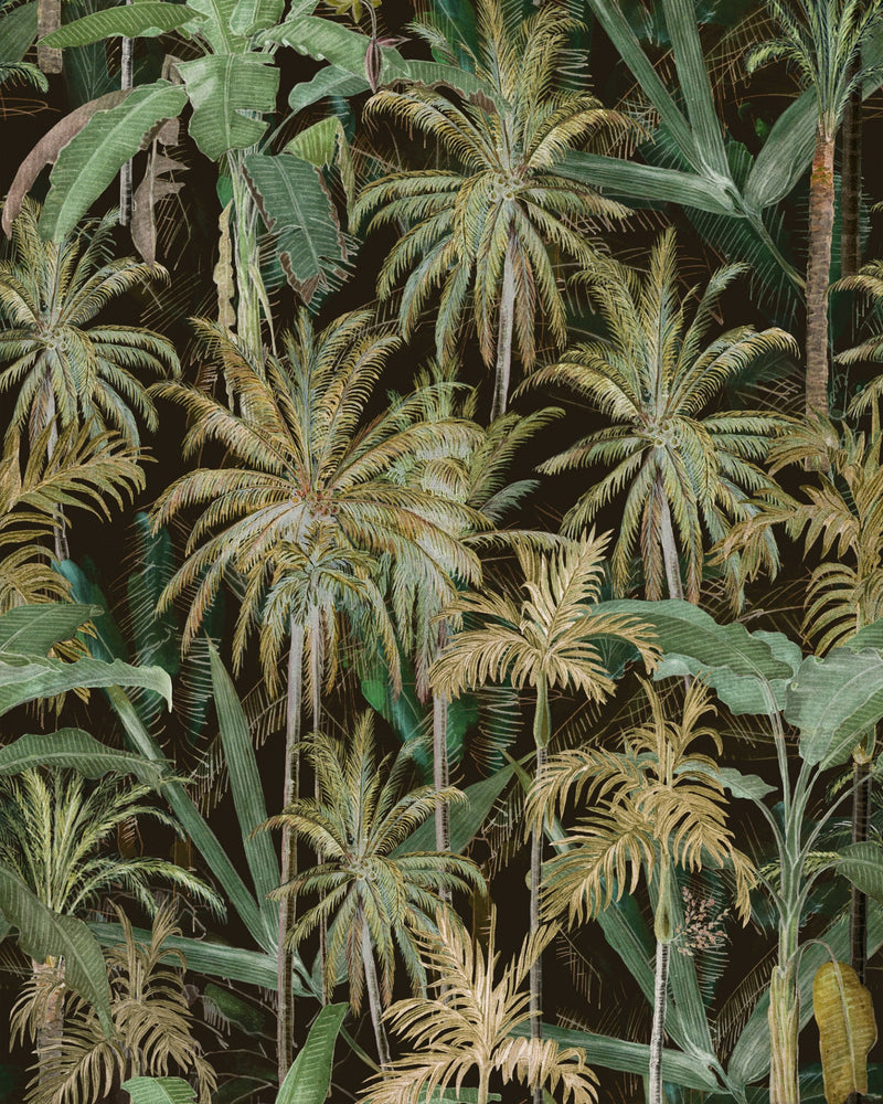 media image for The Jungle Wallpaper in Anthracite from the Wallpaper Compendium Collection by Mind the Gap 264