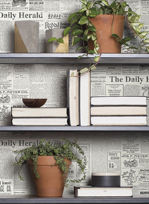 media image for The Daily Wallpaper in Soft Grey and Black from the Magnolia Home Collection by Joanna Gaines 254