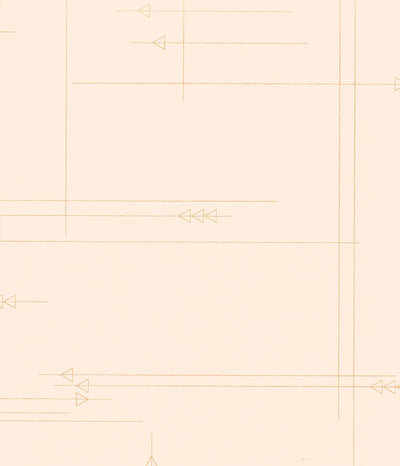product image for Thesis Wallpaper in Blush design by Cavern Home 11