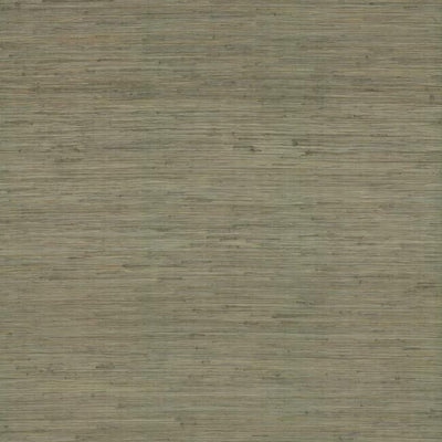product image of Threaded Jute Wallpaper in Green from the Traveler Collection by Ronald Redding 597