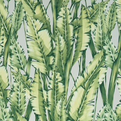 product image of sample tiger leaf wallpaper in green from the folium collection by osborne little 1 582