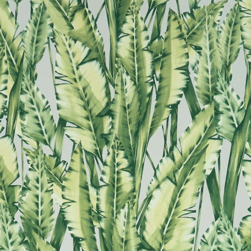 media image for sample tiger leaf wallpaper in green from the folium collection by osborne little 1 21