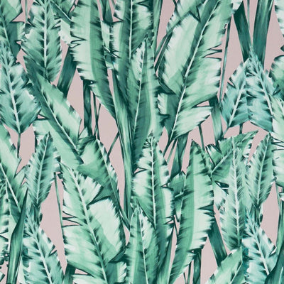 product image for Tiger Leaf Wallpaper in Mint and Blush from the Folium Collection by Osborne & Little 24