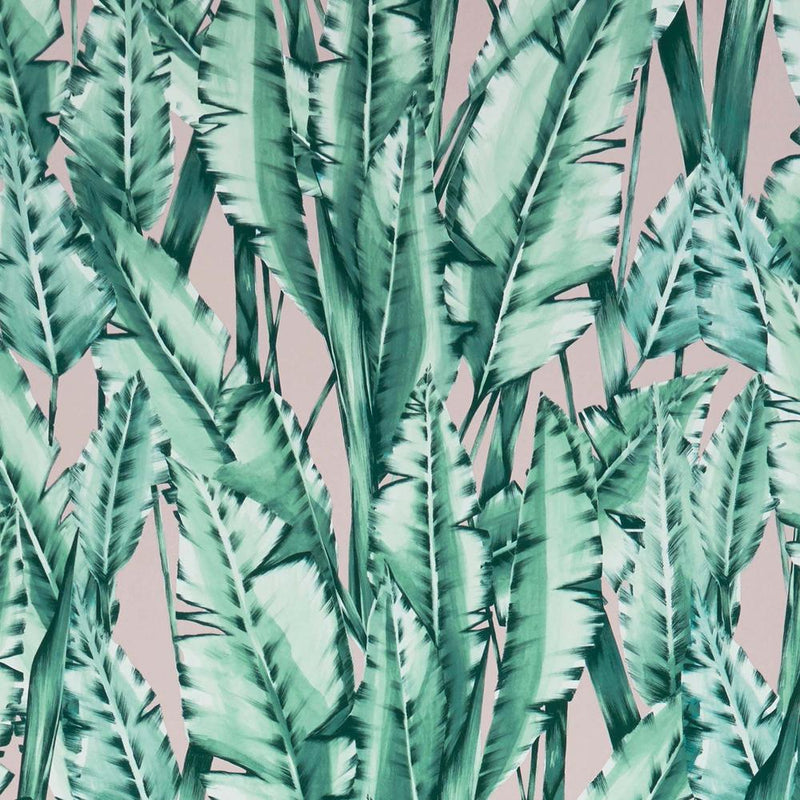 media image for Tiger Leaf Wallpaper in Mint and Blush from the Folium Collection by Osborne & Little 227