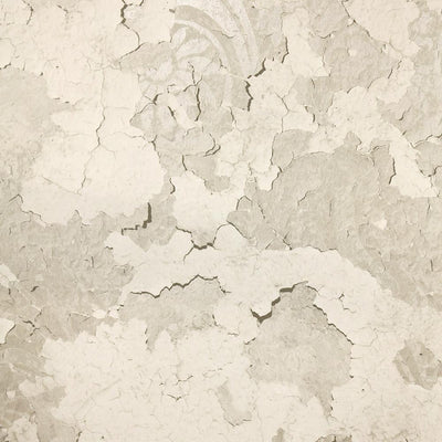 product image of Torn Floral Wallpaper in Grey from the Precious Elements Collection by Burke Decor 535