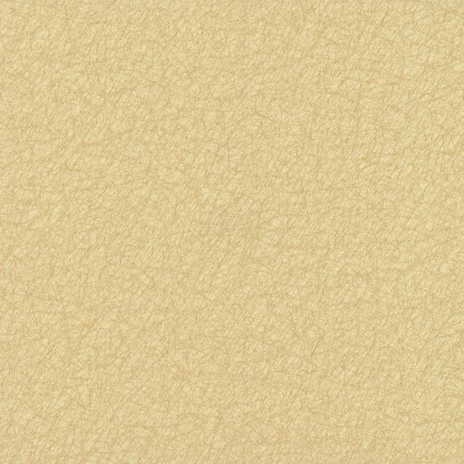 media image for sample tossed fibers wallpaper in beige and pale metallic design by york wallcoverings 1 22