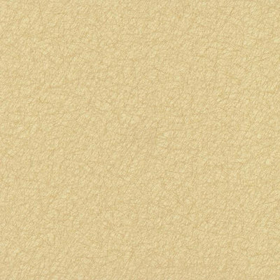 product image of Tossed Fibers Wallpaper in Beige and Pale Metallic design by York Wallcoverings 549