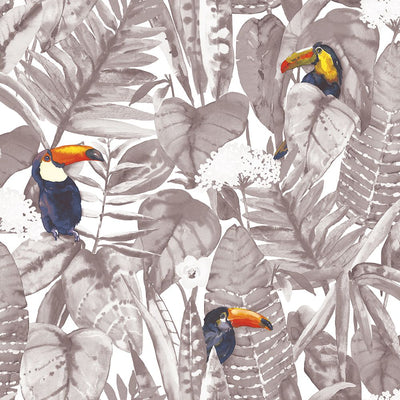 product image of sample toucan self adhesive wallpaper single roll in newspaper by tempaper 1 549