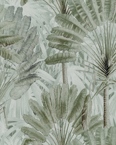 product image for Traveller's Palm Wallpaper in Neutral from the Wallpaper Compendium Collection by Mind the Gap 71
