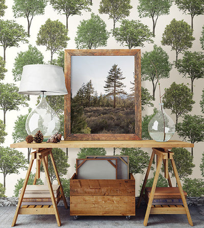 product image for Tree Tops Green Photographic Wallpaper from the Essentials Collection by Brewster Home Fashions 40