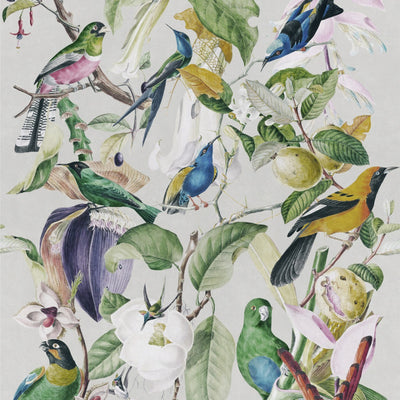 product image of sample tropical birds wallpaper from collection ii by mind the gap 1 586