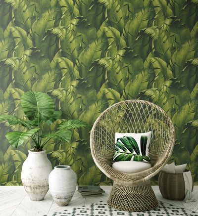 product image for Tropical Banana Leaf Peel-and-Stick Wallpaper in Green by NextWall 77
