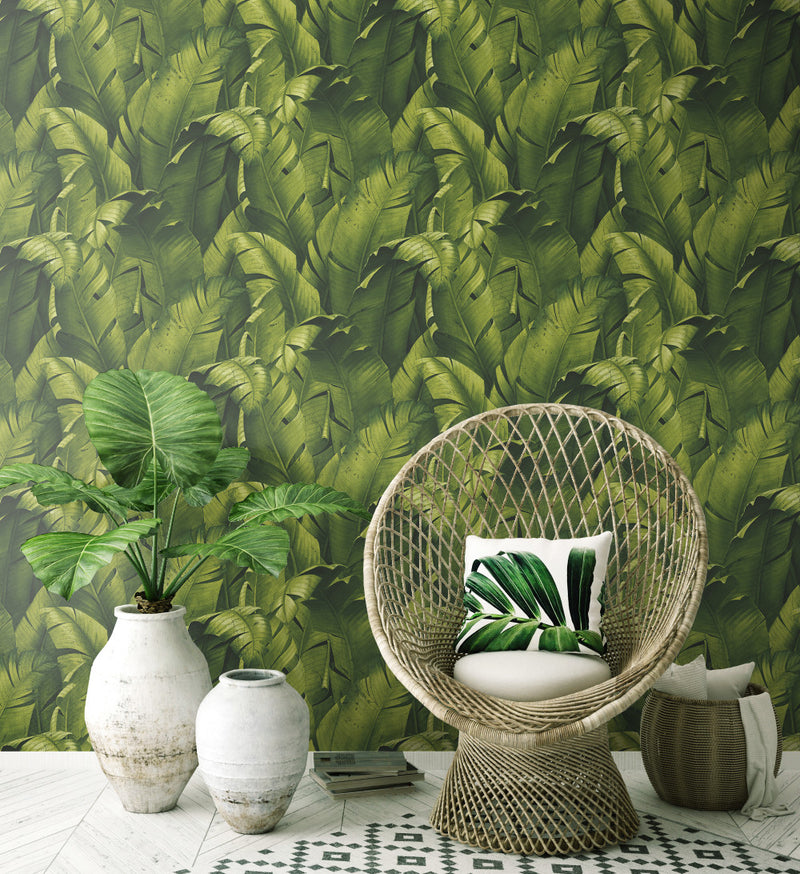 media image for Tropical Banana Leaf Peel-and-Stick Wallpaper in Green by NextWall 23