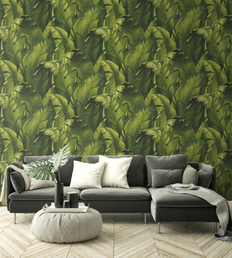 media image for Tropical Banana Leaf Peel-and-Stick Wallpaper in Green by NextWall 211