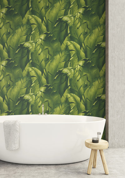 product image for Tropical Banana Leaf Peel-and-Stick Wallpaper in Green by NextWall 25