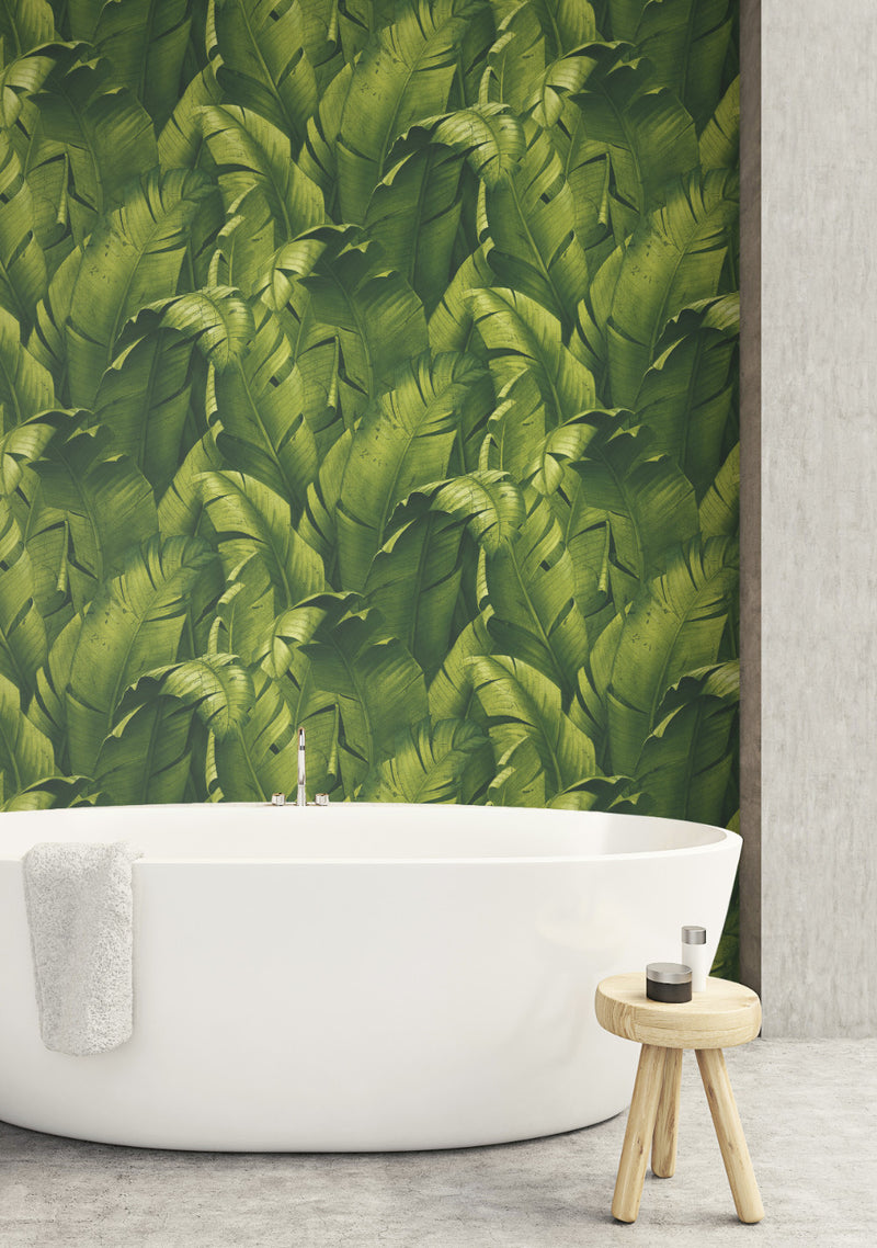 media image for Tropical Banana Leaf Peel-and-Stick Wallpaper in Green by NextWall 297
