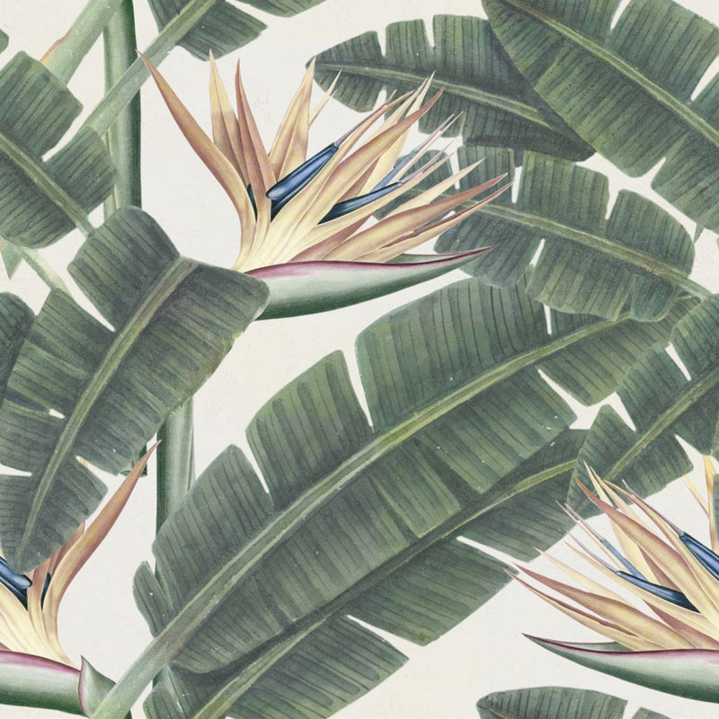 media image for Tropical Bloom Wallpaper in Beige and Green from the Tropical Vibes Collection by Mind the Gap 273