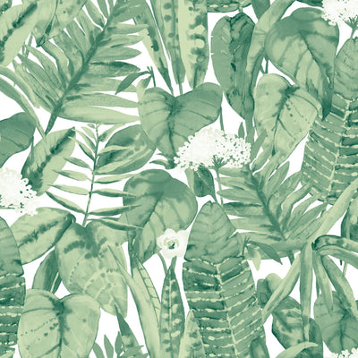 product image of sample tropical self adhesive wallpaper in jungle green design by tempaper 1 580