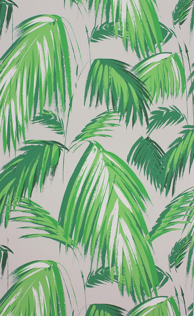 product image for Tropicana Wallpaper in Grass and Pebble by Matthew Williamson for Osborne & Little 38