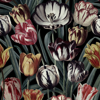product image for Tulipa Dark Wallpaper from Collection II by Mind the Gap 86