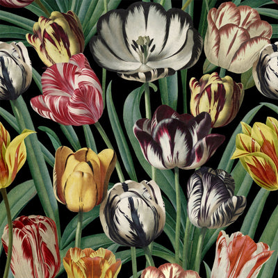 product image of sample tulipa wallpaper from collection ii by mind the gap 1 540