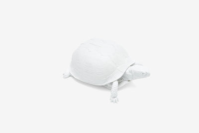product image of Reality Box Turtle Box in White design by Areaware 516