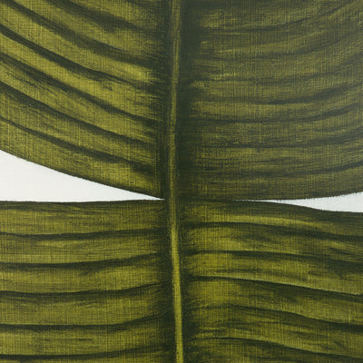 product image for Ficus Elastica By Marianne Hendriks Wall Art 64