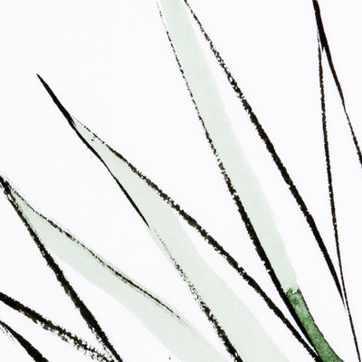 product image for Agave Crop By Jess Engle Wall Art 39