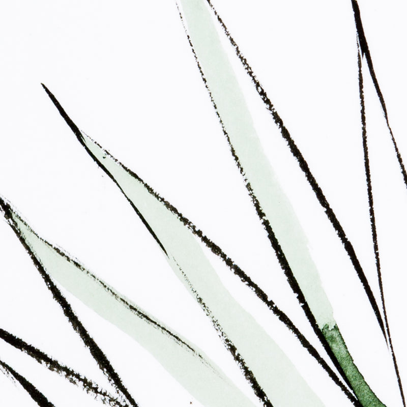 media image for Agave Crop By Jess Engle Wall Art 295