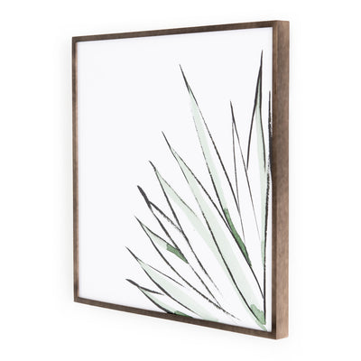 product image for Agave Crop By Jess Engle Wall Art 18