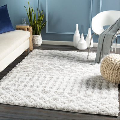 product image for Urban Shag USG-2310 Rug in White & Light Grey by Surya 58