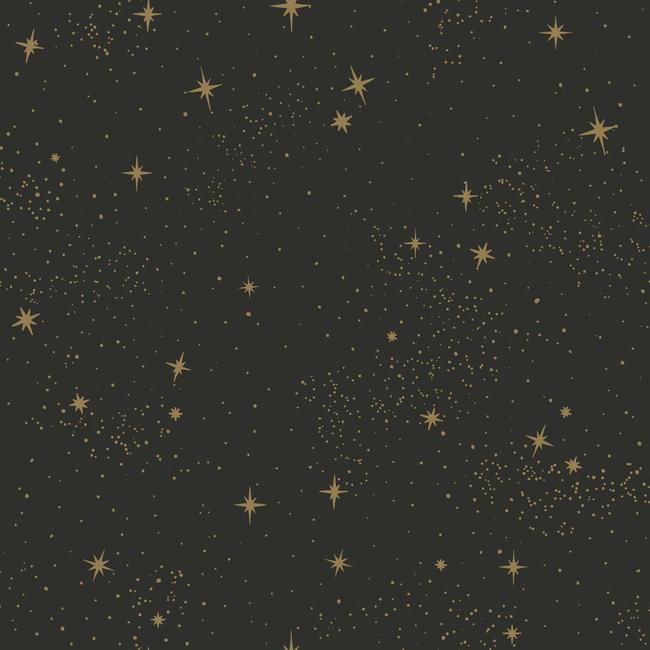 media image for sample upon a star peel stick wallpaper in black and grey by roommates for york wallcoverings 1 238