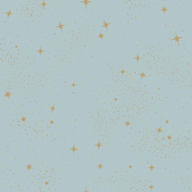 media image for sample upon a star peel stick wallpaper in blue by roommates for york wallcoverings 1 259