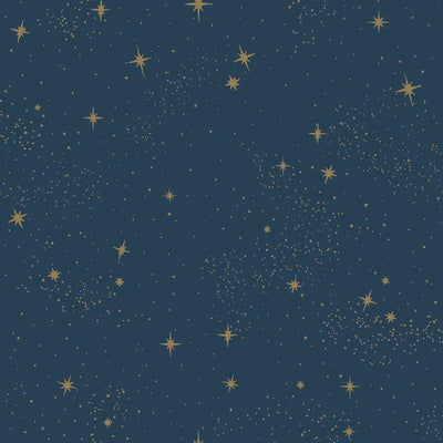 product image of sample upon a star peel stick wallpaper in navy by roommates for york wallcoverings 1 598