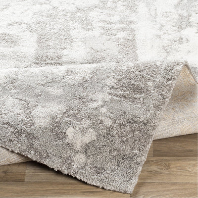 product image for Venice VNE-2305 Rug in Light Grey & Ivory by Surya 31