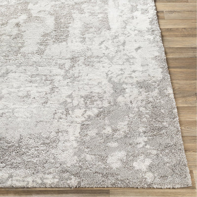 product image for Venice VNE-2305 Rug in Light Grey & Ivory by Surya 67