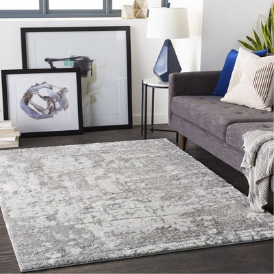 product image for Venice VNE-2305 Rug in Light Grey & Ivory by Surya 92