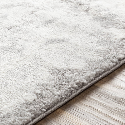 product image for Venice VNE-2305 Rug in Light Grey & Ivory by Surya 2