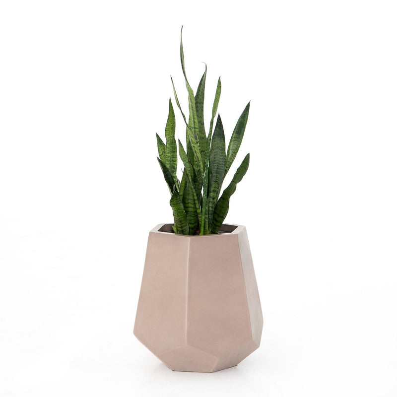 media image for Paloma Outdoor Planter by BD Studio 292
