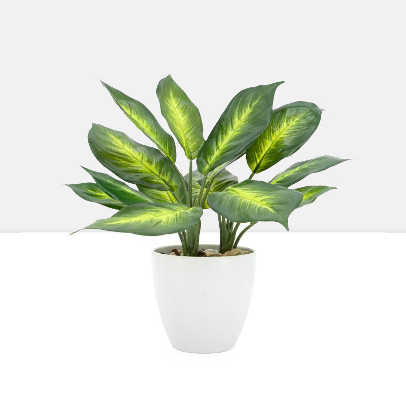 media image for villa 5 5 diameter faux potted 13 plant in dieffenbachia design by torre tagus 2 216