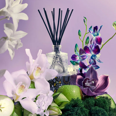 product image for Apple Blue Clover Reed Diffuser 97