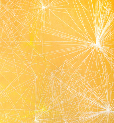 product image for Voyageur Wallpaper in Citron design by Jill Malek 60