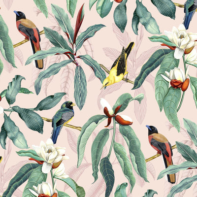 product image of Michelia Blush Wallpaper from the Empyrea Collection by Osborne & Little 537