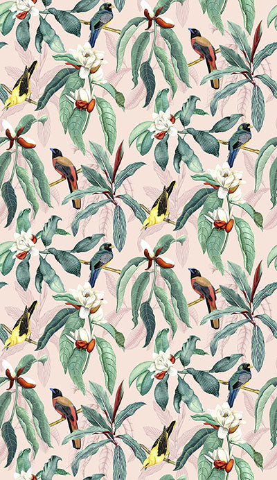 media image for Michelia Blush Wallpaper from the Empyrea Collection by Osborne & Little 260