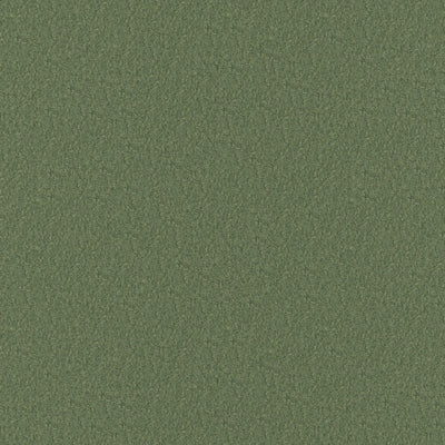 product image for Woolish Fabric in Laurel Green 85